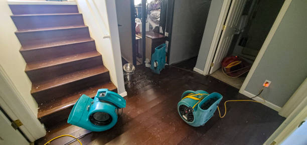 Best Ceiling water damage repair  in Ninety Six, SC
