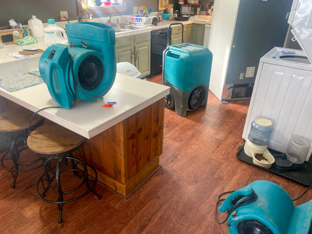 Best Residential water damage restoration  in Ninety Six, SC