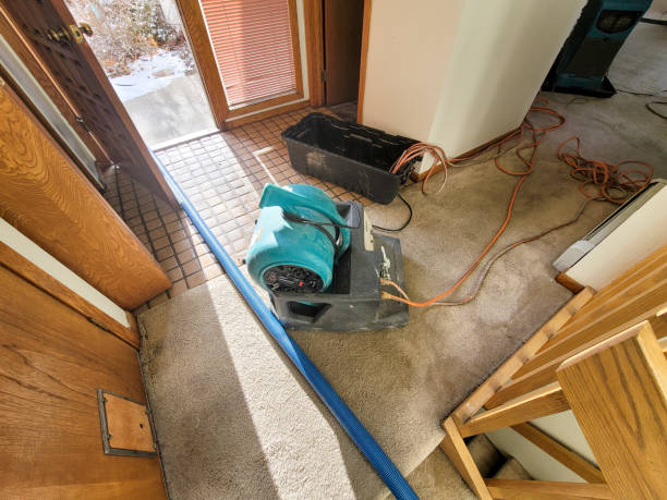 Best Water damage contractors near me  in Ninety Six, SC