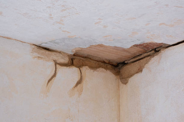 Best Water damage cleanup near me  in Ninety Six, SC