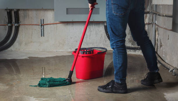 Best Flooded house restoration  in Ninety Six, SC
