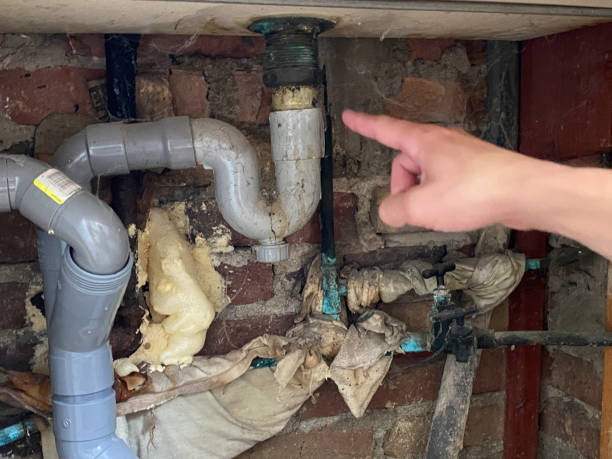 Best Fire Damage Restoration  in Ninety Six, SC