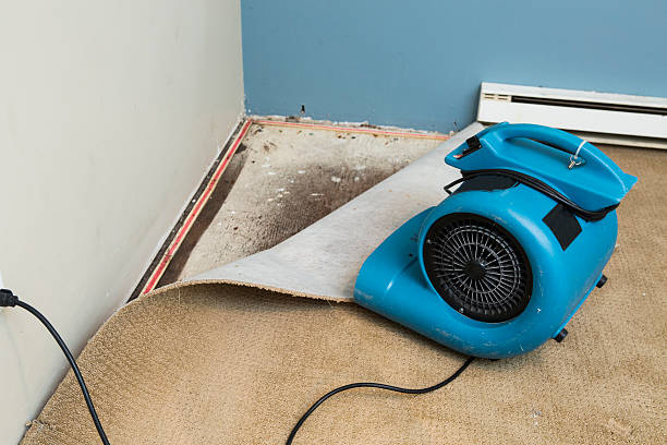Best Flood restoration services  in Ninety Six, SC